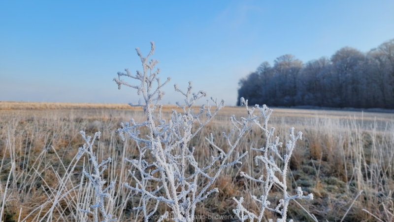 16.01.2022 - Spaziergang bei frostigem Morgen_12