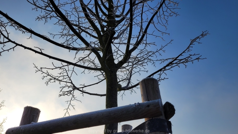 16.01.2022 - Spaziergang bei frostigem Morgen_13