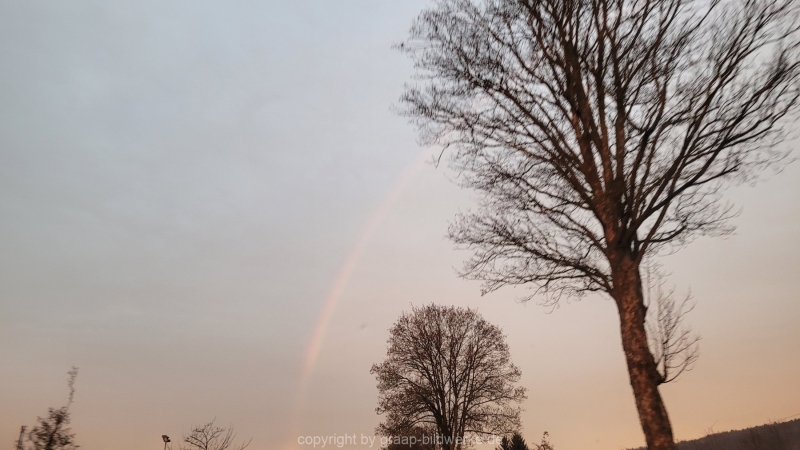 04.01.2023 - Sonnenaufgang in Uhingen_05