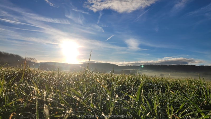 06.01.2023 - Spaziergang / Gassirunde am frühen Morgen in Hattenhofen_03
