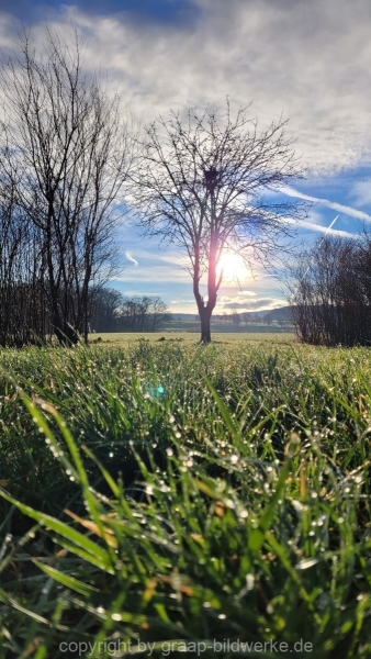 06.01.2023 - Spaziergang / Gassirunde am frühen Morgen in Hattenhofen_14