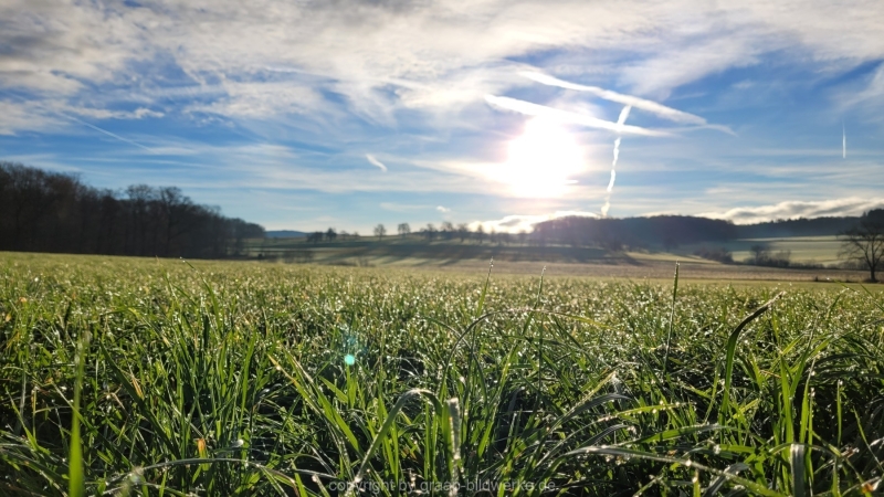 06.01.2023 - Spaziergang / Gassirunde am frühen Morgen in Hattenhofen_16
