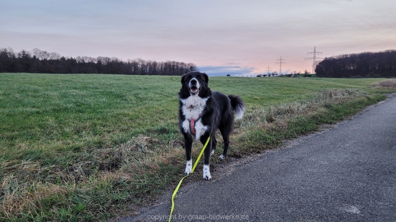 11.01.2023 - Sonnenaufgang rund um Uhingen_11