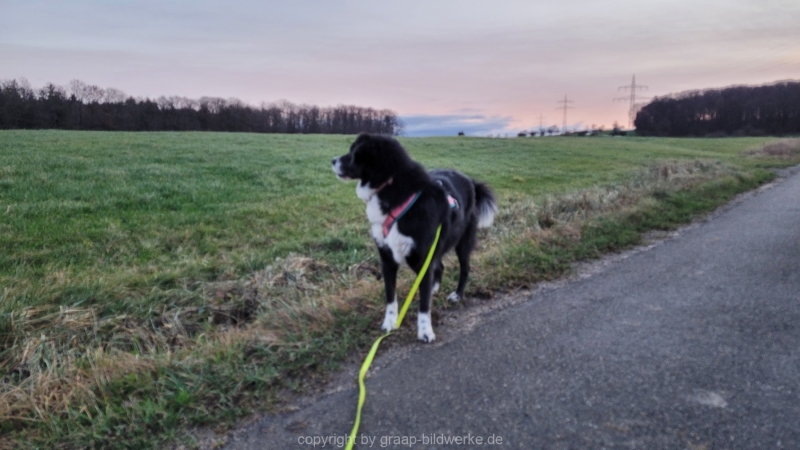 11.01.2023 - Sonnenaufgang rund um Uhingen_12