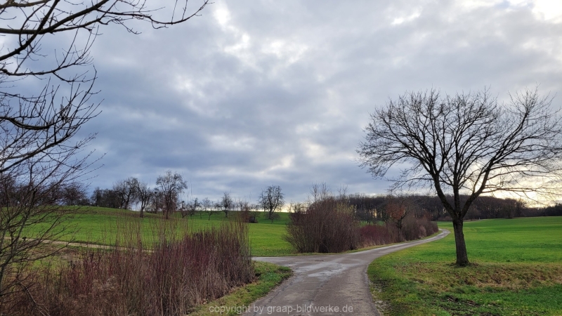 14.01.2023 - Gassirunde bei Sonnenaufgang_15