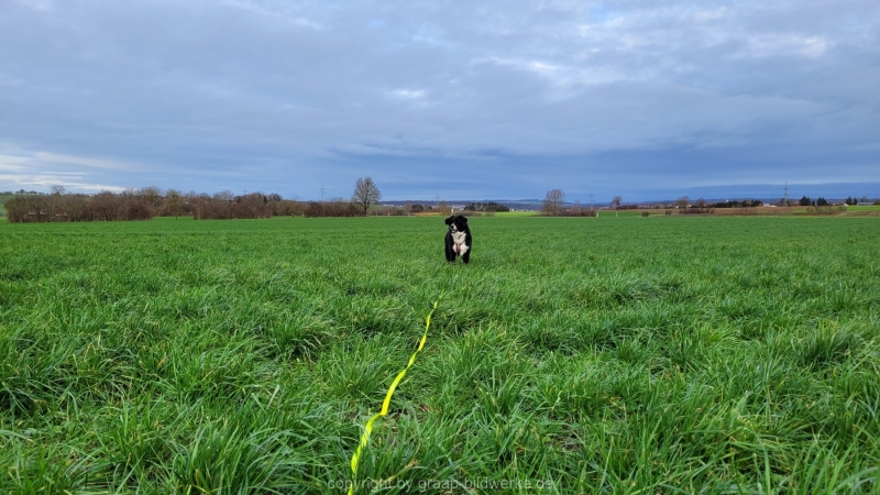 14.01.2023 - Gassirunde bei Sonnenaufgang_14