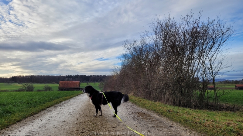 14.01.2023 - Gassirunde bei Sonnenaufgang_06
