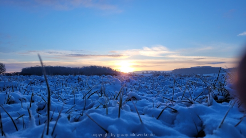 19.01.2023 - Gassirunde bei Sonnenaufgang_10