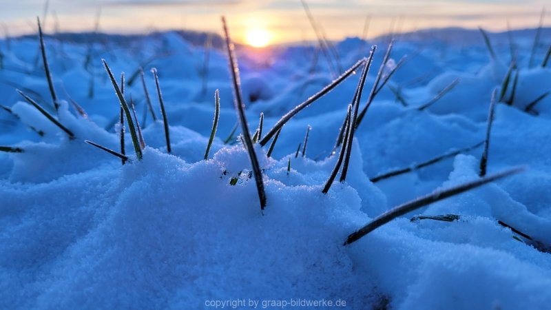 19.01.2023 - Gassirunde bei Sonnenaufgang_18