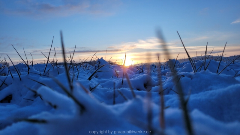 19.01.2023 - Gassirunde bei Sonnenaufgang_19