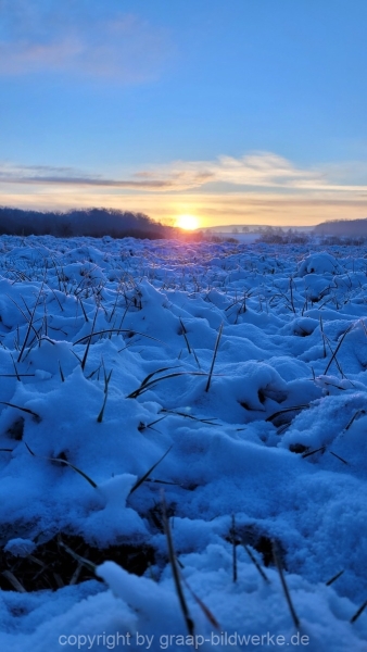 19.01.2023 - Gassirunde bei Sonnenaufgang_22