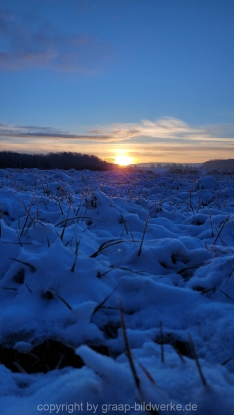 19.01.2023 - Gassirunde bei Sonnenaufgang_23