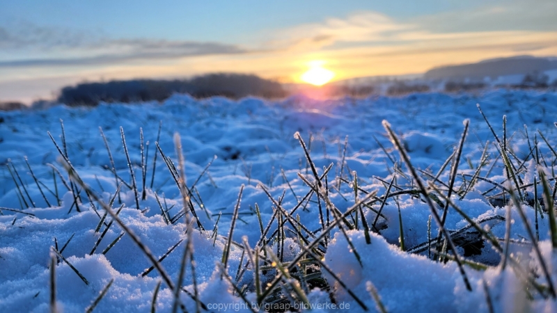 19.01.2023 - Gassirunde bei Sonnenaufgang_31