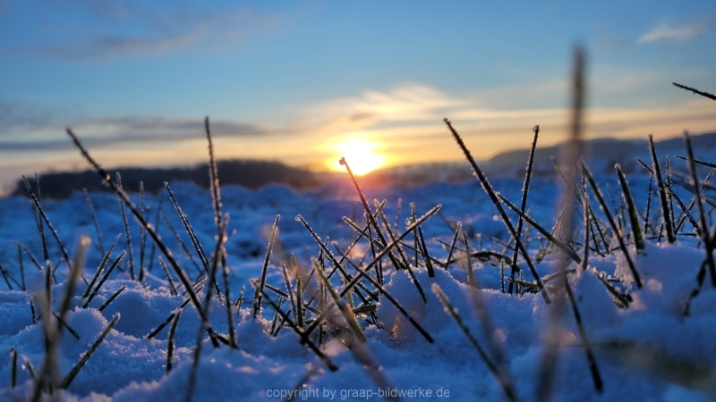 19.01.2023 - Gassirunde bei Sonnenaufgang_31