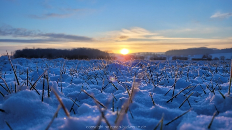 19.01.2023 - Gassirunde bei Sonnenaufgang_42