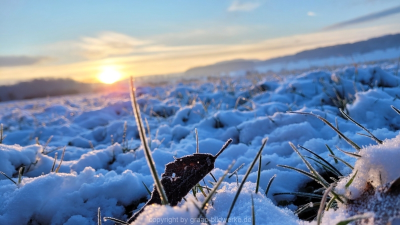 19.01.2023 - Gassirunde bei Sonnenaufgang_50