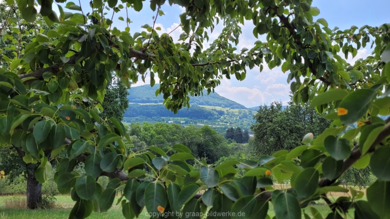 20220724_124622-Kopie