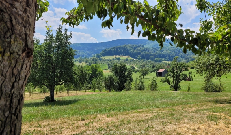 20220724_132707-Kopie-2