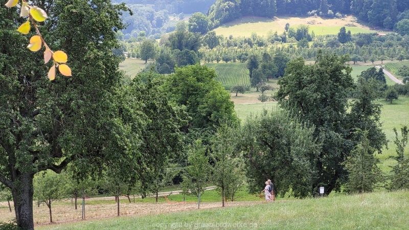 20220724_133929-Kopie