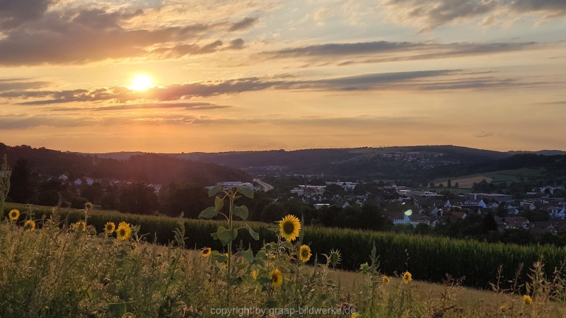 27.07.2022 - Abendspaziergang_01