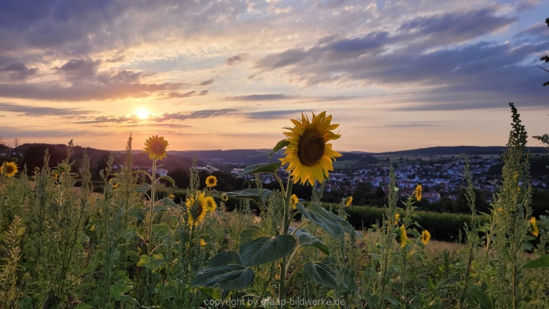 27.07.2022 - Abendspaziergang_03