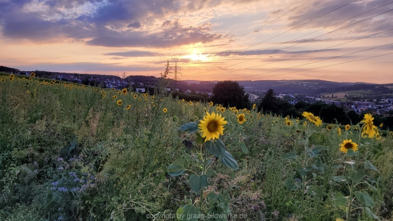 27.07.2022 - Abendspaziergang_08