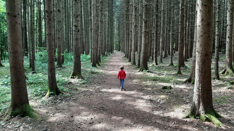 30.05.2021 _Waldspaziergang_05