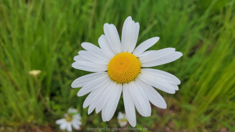 13.05.2022 - Spaziergang_01