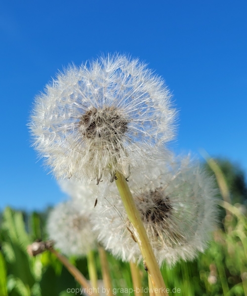14.05.2022 - Spaziergang_01