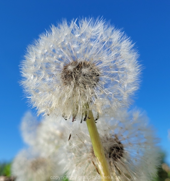 14.05.2022 - Spaziergang_02