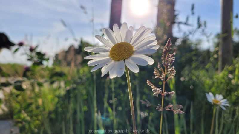 19.05.2022 - Spaziergang_01