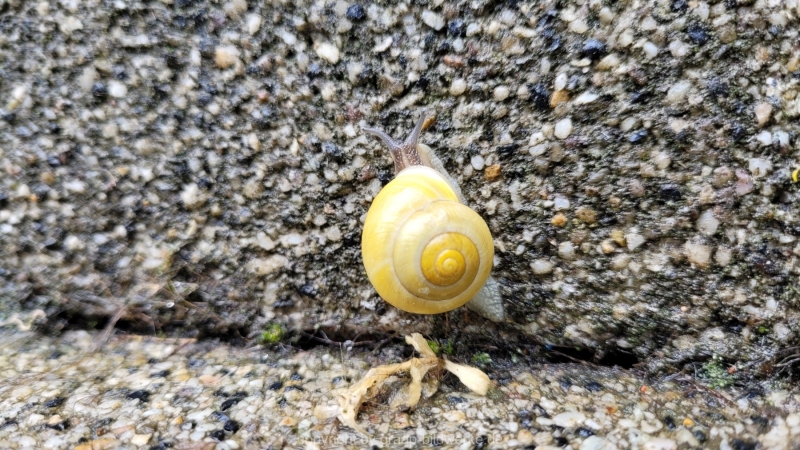 23.05.2022 - Spaziergang_01
