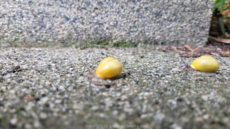 23.05.2022 - Spaziergang_02