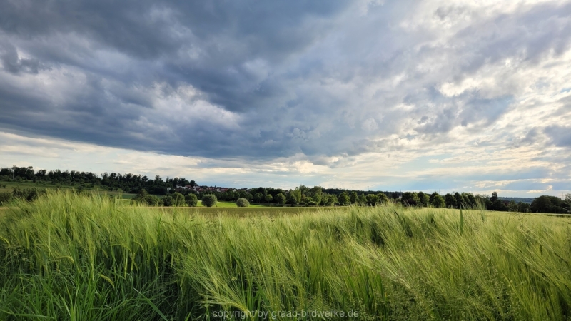 24.05.2022 - Spaziergang_01