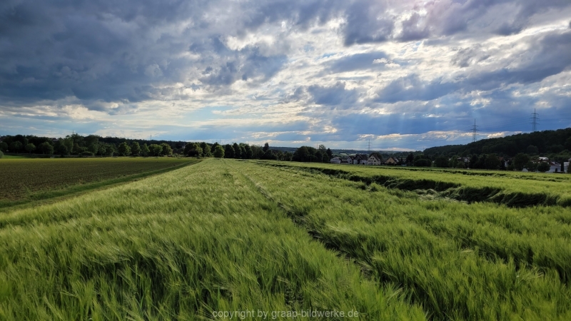 24.05.2022 - Spaziergang_04