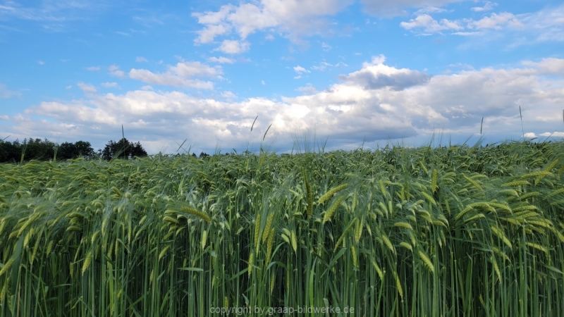 24.05.2022 - Spaziergang_05