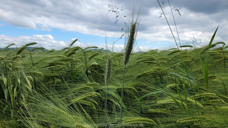 26.05.2022 - Spaziergang_02