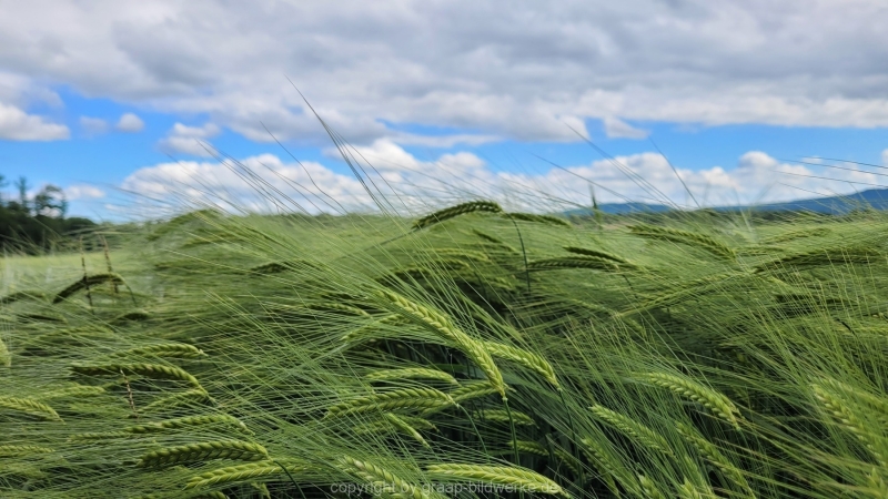 26.05.2022 - Spaziergang_03