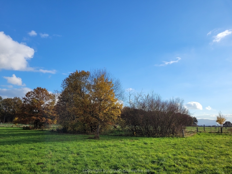 08.11.2021 - Herbstspaziergang am Carlottensee_10