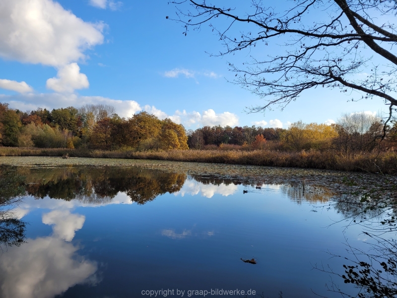 08.11.2021 - Herbstspaziergang am Carlottensee_03