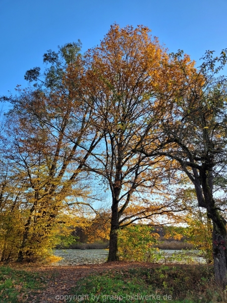 08.11.2021 - Herbstspaziergang am Carlottensee_02