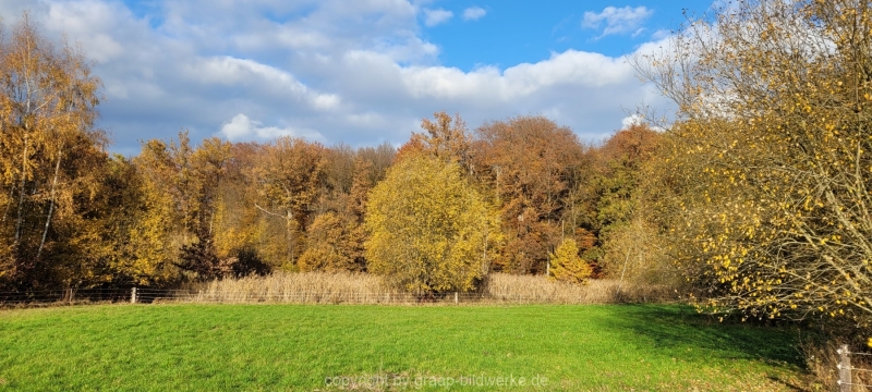 08.11.2021 - Herbstspaziergang am Carlottensee_07