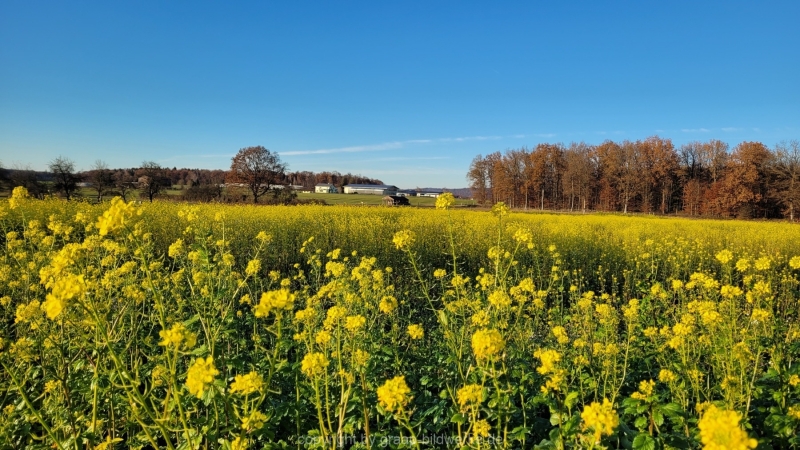 23.11.2021 - Herbst_04