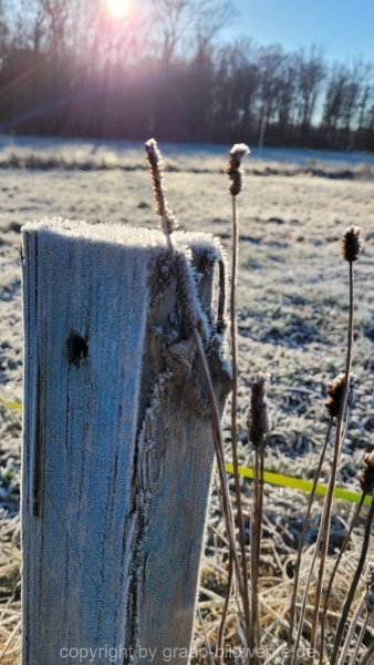 21.11.2021 - Frostig_04