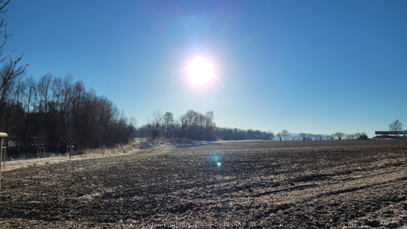 21.11.2021 - Frostig_06