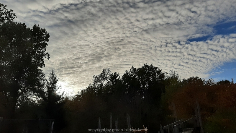 20211025_162944